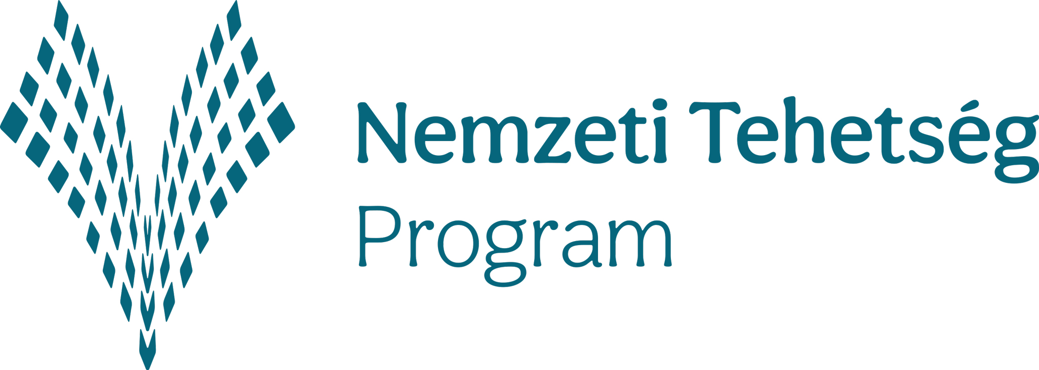 Nemzeti Tehetség Program